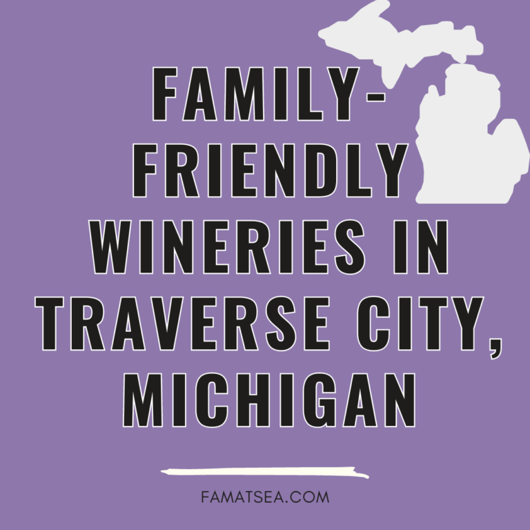 Family-Friendly Wineries in Traverse City, Michigan