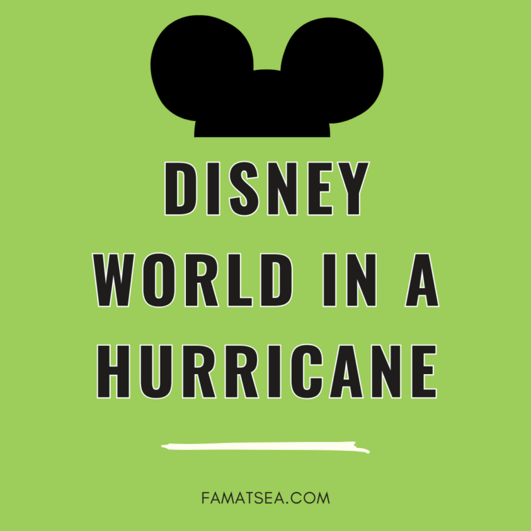 Disney World in a Hurricane