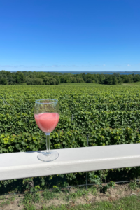 Best Wineries in Traverse City, Michigan, Family-Friendly Wineries in Traverse City, Old Mission Peninsula, Kid-Friendly Wineries, Family-Friendly Wineries